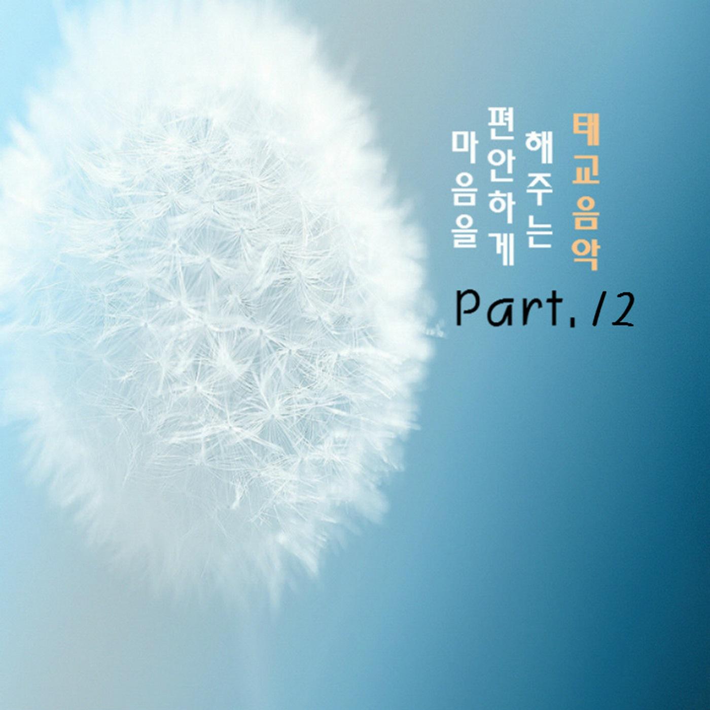 마음을 편안하게 해주는 태교음악 Part.12专辑