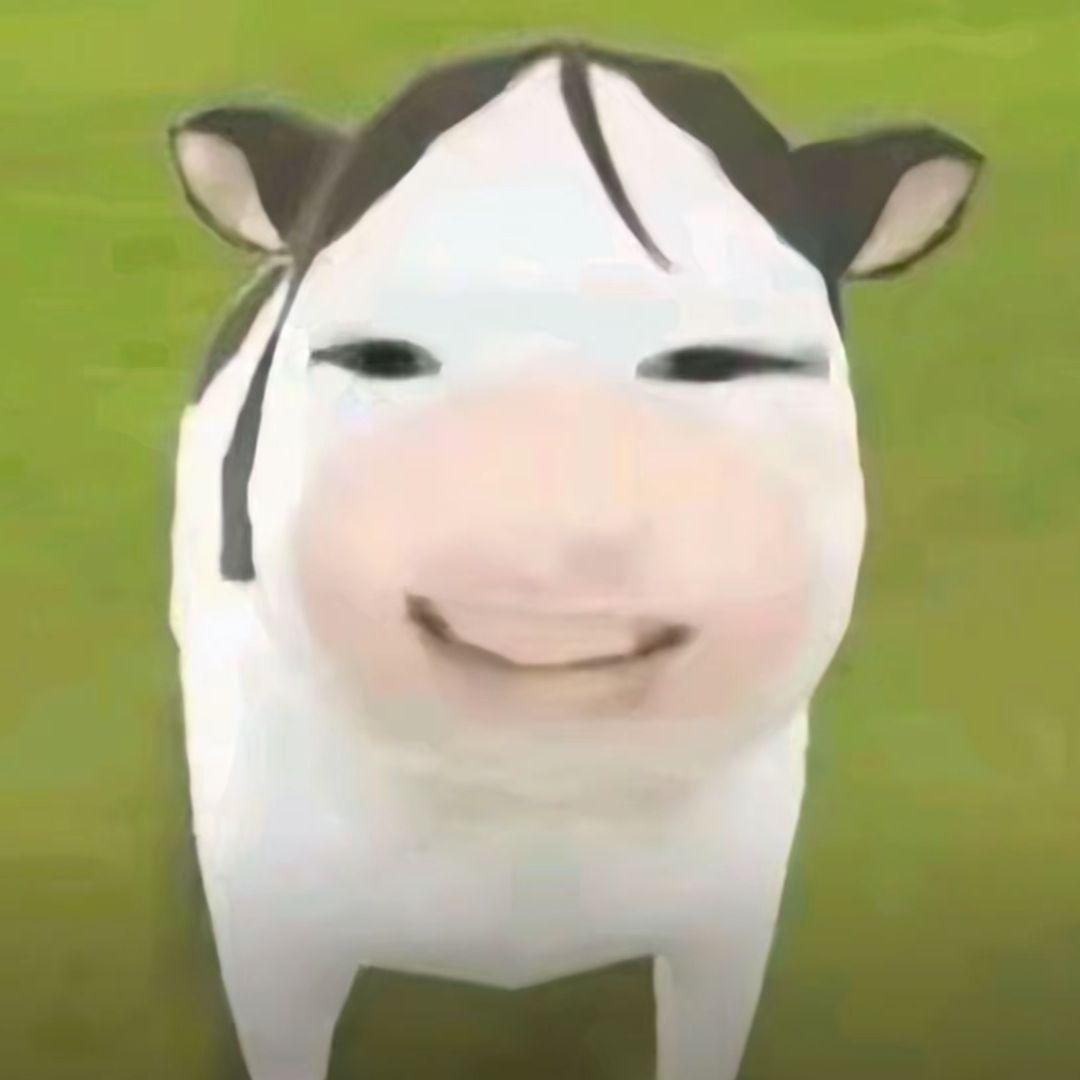 出国迫在眉睫half