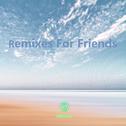 Remixes For Friends专辑