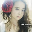 Like a flower<TYPE-A>专辑