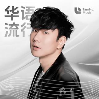 华语经典 | 那些属于我们青春的一首歌曲