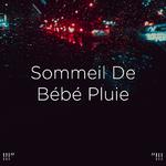 !!!" Sommeil De Bébé Pluie "!!!专辑