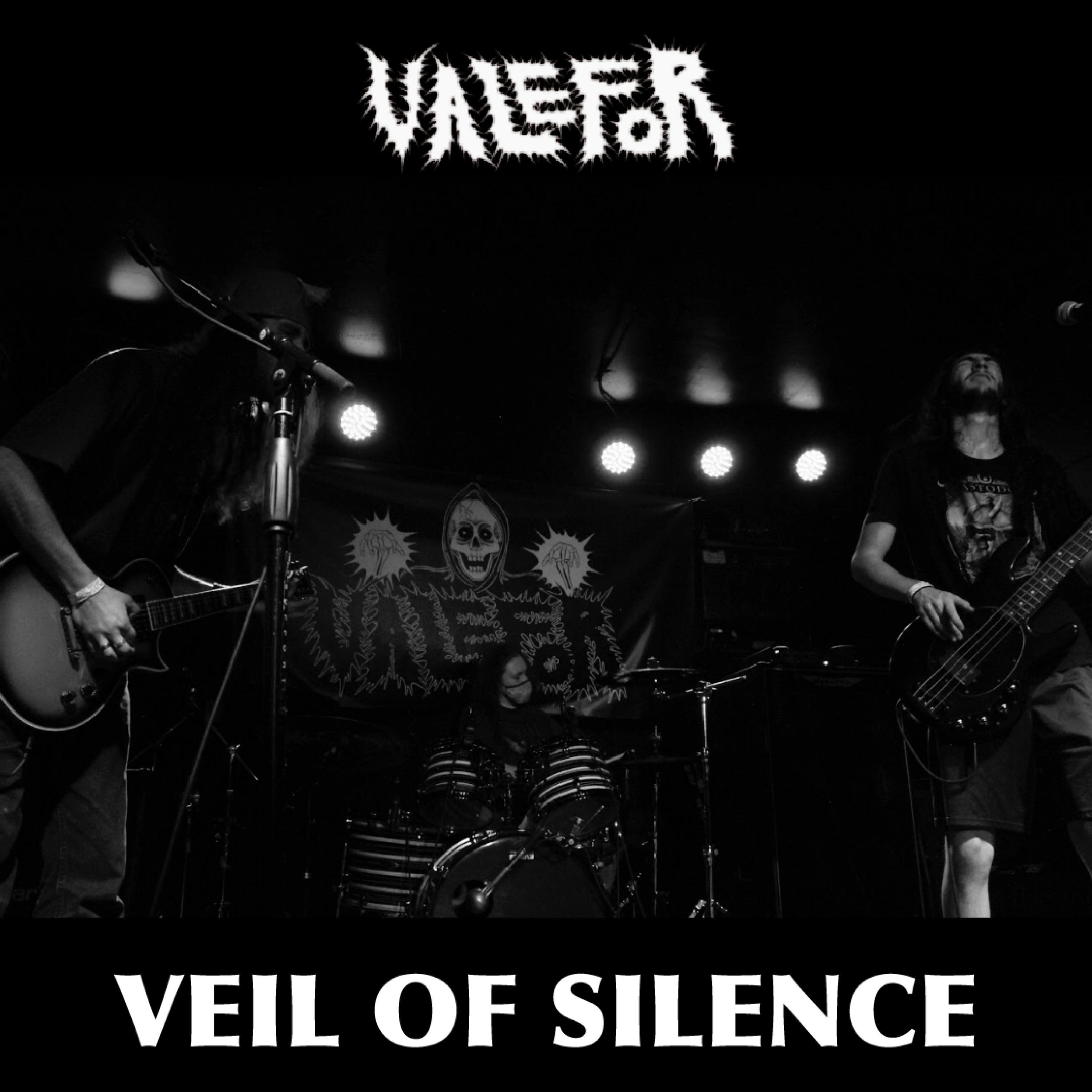 Veil of Silence
