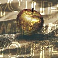 Youth Without Youth - Metric (OT karaoke) 带和声伴奏