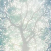 Yiiiko - Cornfield Chase in Golden hour