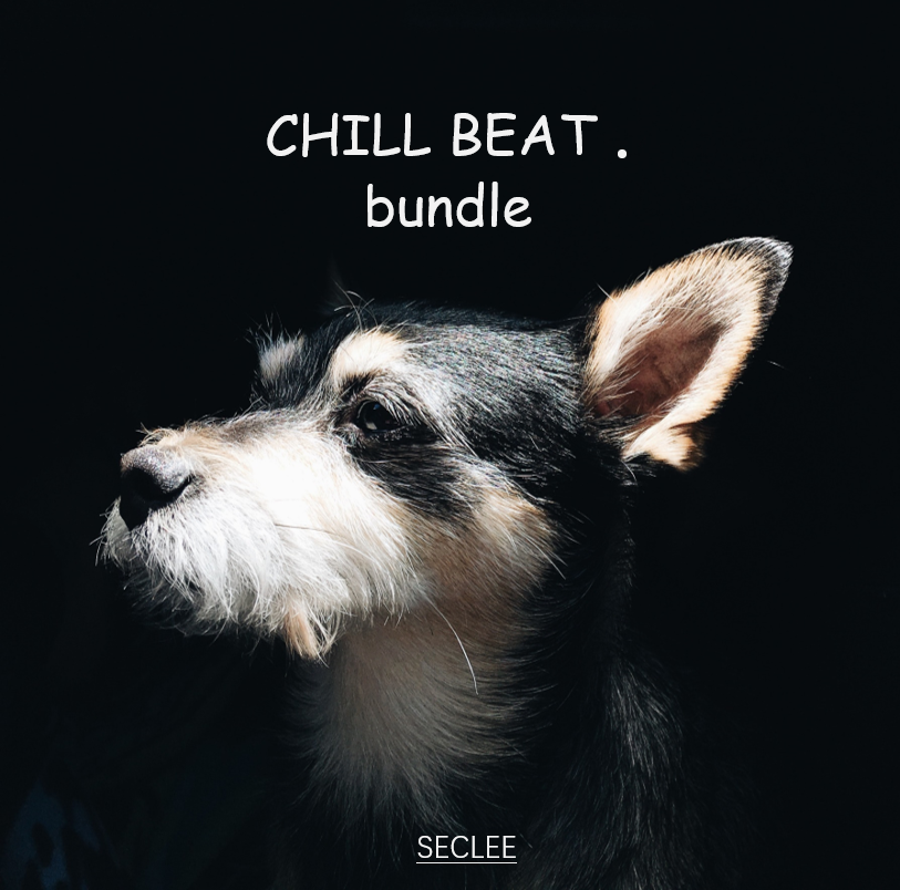 seclee的chillbeat合集专辑