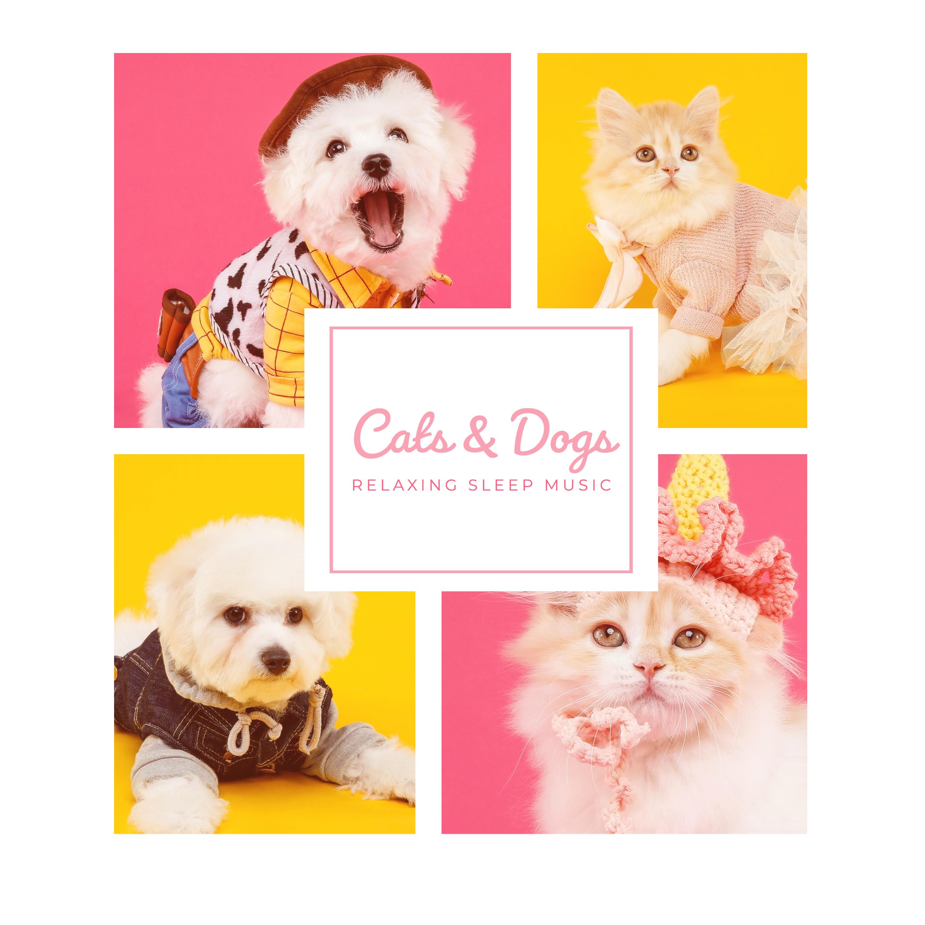 Cats & Dogs Relaxing Sleep Music