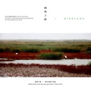 《鹤鸣于野》——聆听四季的声景与飞鸟（2020~2024）