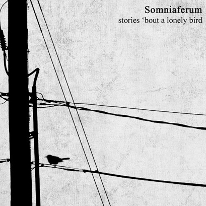 Stories ‘Bout A Lonely Bird