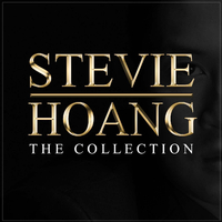 Stevie Hoang - What I Meant to Say (消音版) 带和声伴奏