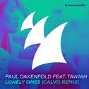 Lonely Ones (Calvo Remix)专辑