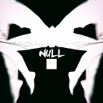 NULL专辑