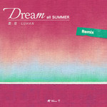 Dream All Summer (夏夜) Remix专辑