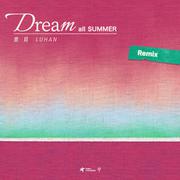 Dream All Summer (夏夜) Remix