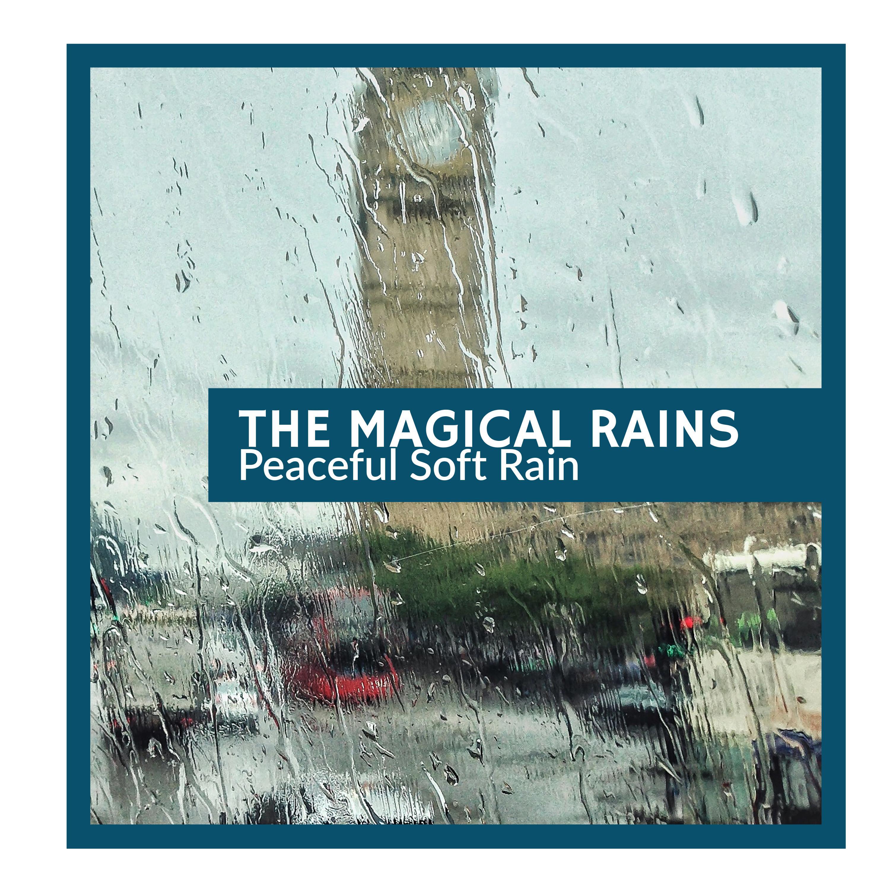Dizzy Rain Music Recordings - Unaccustomed Thunder