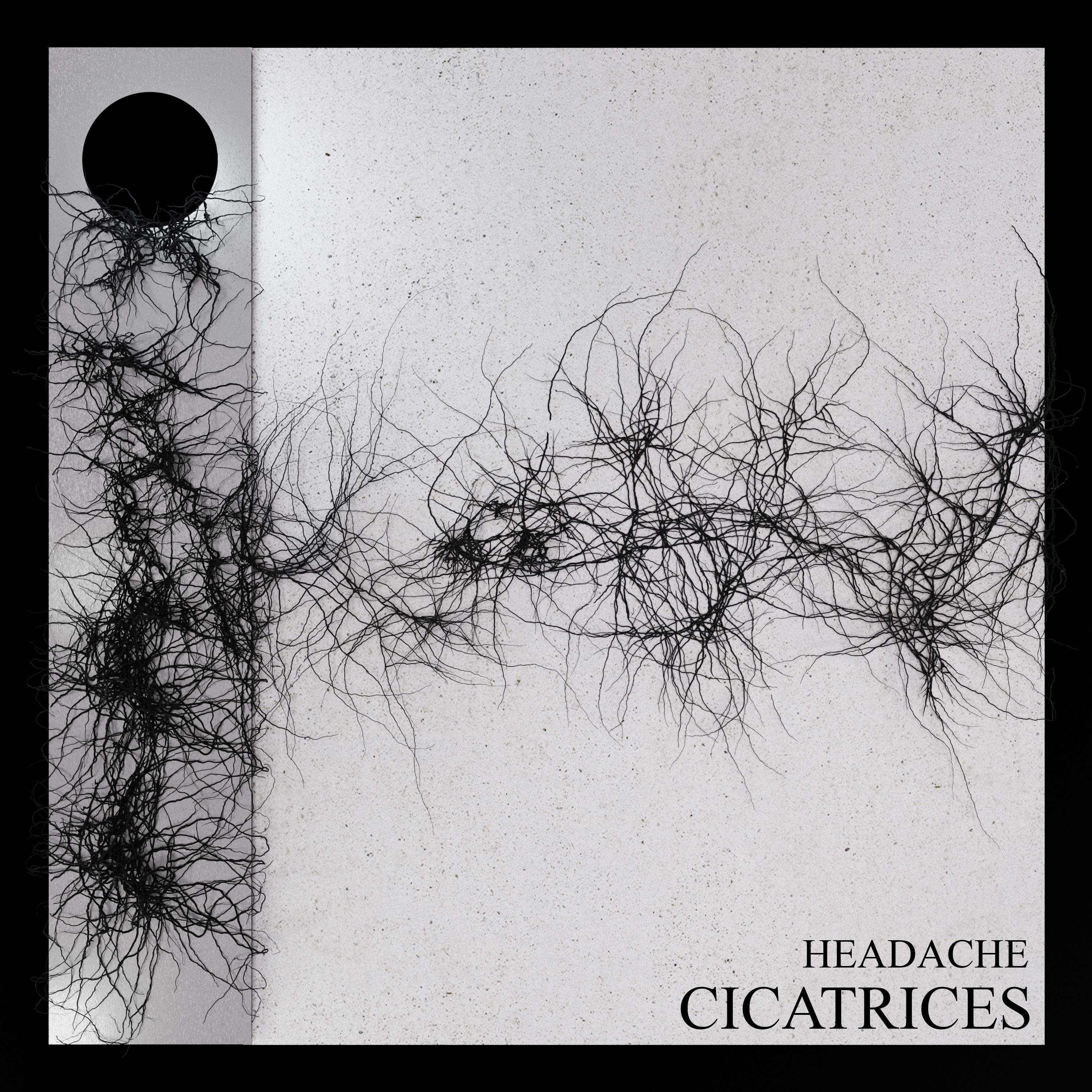 CICATRICES