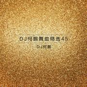 DJ何鹏舞曲精选集45