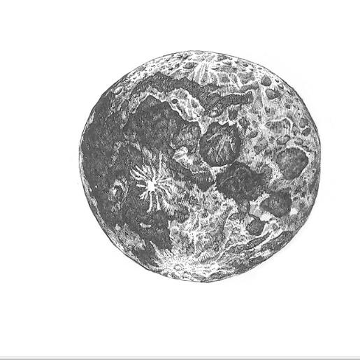 PA007 - The Inverted Orange