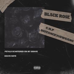 BLACK ROSE