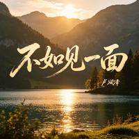 不如见一面
