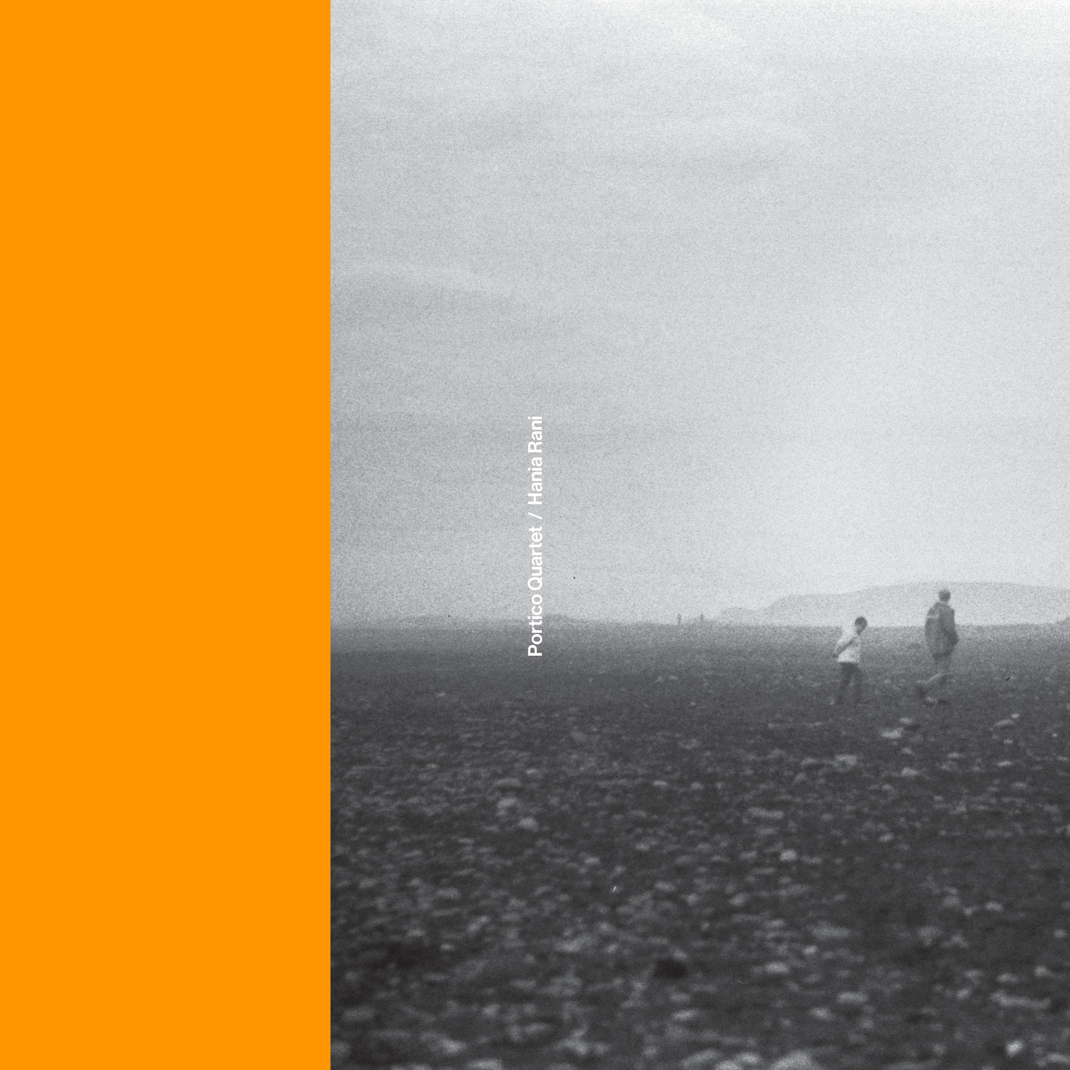 Nest (Portico Quartet Remix)