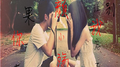 蜗居专辑