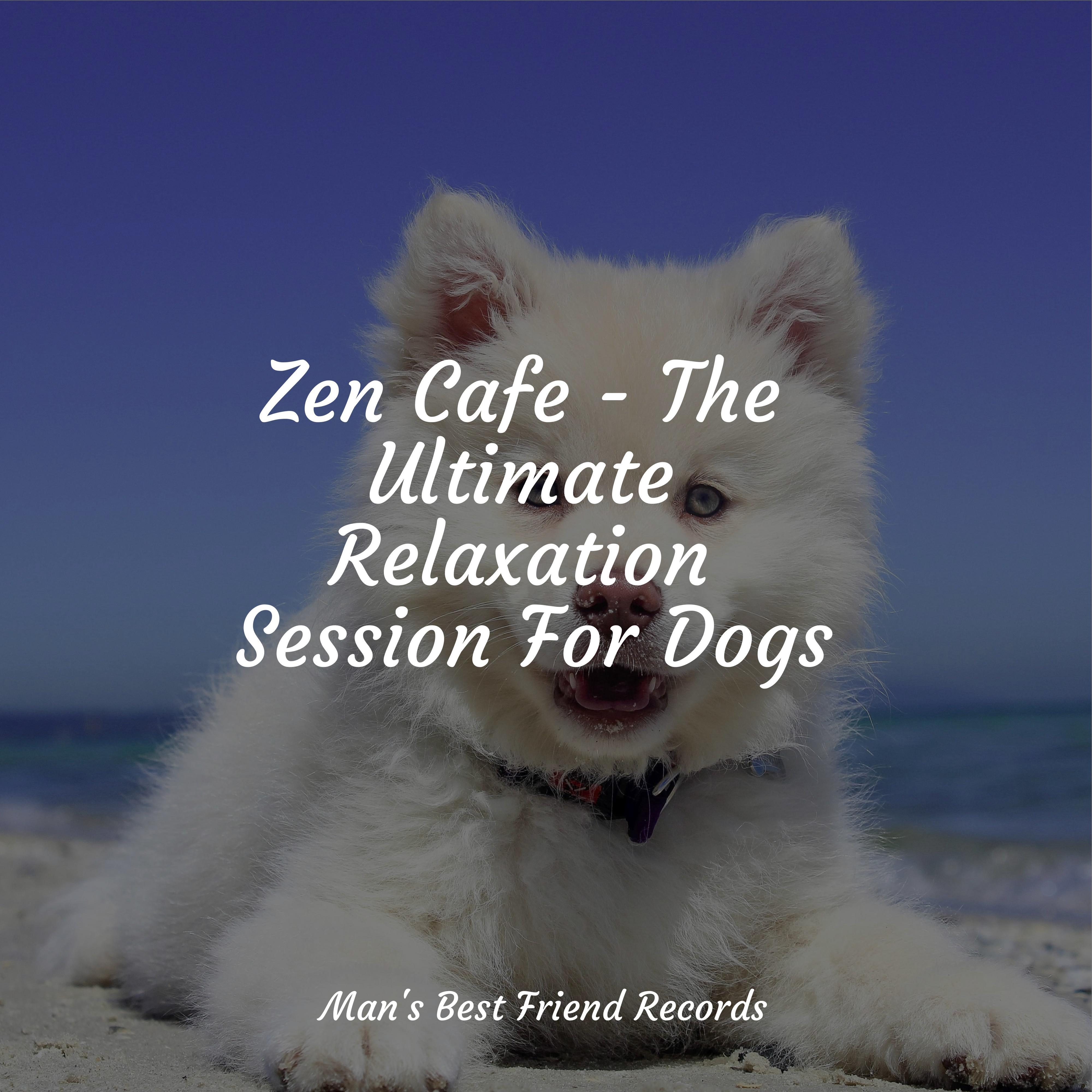 Music For Dogs - A Time for Relaxation