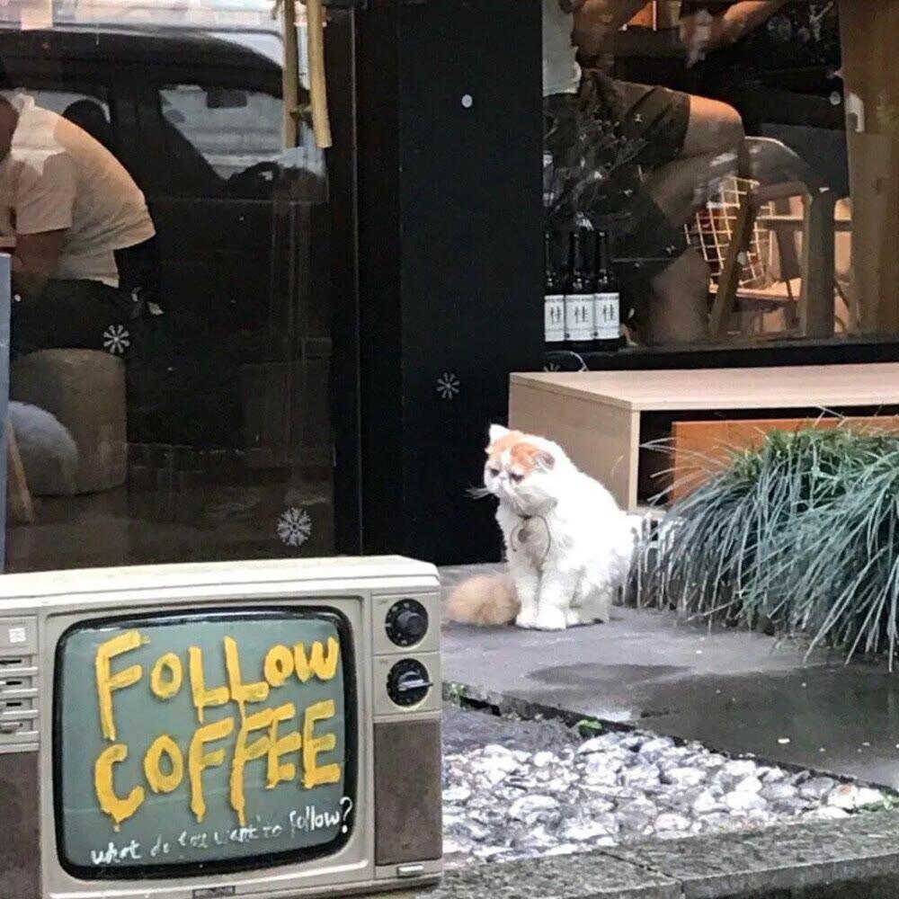 到此为止