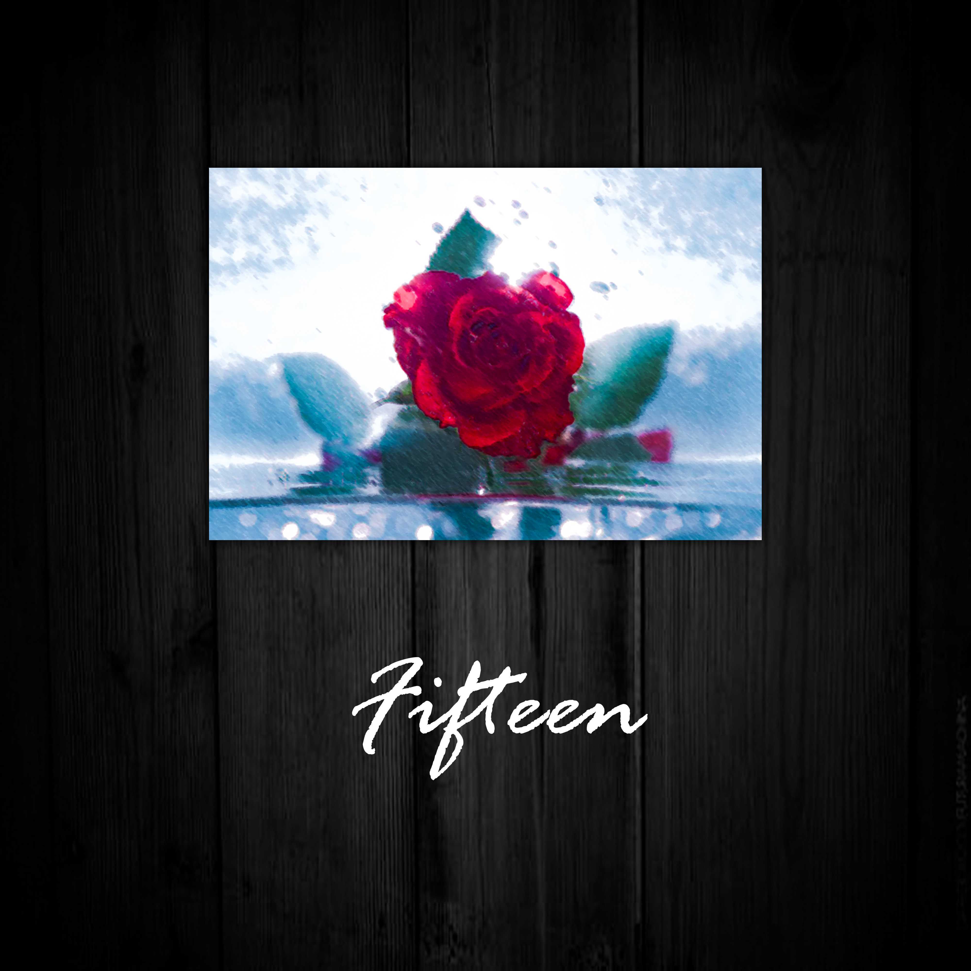 Fifteen