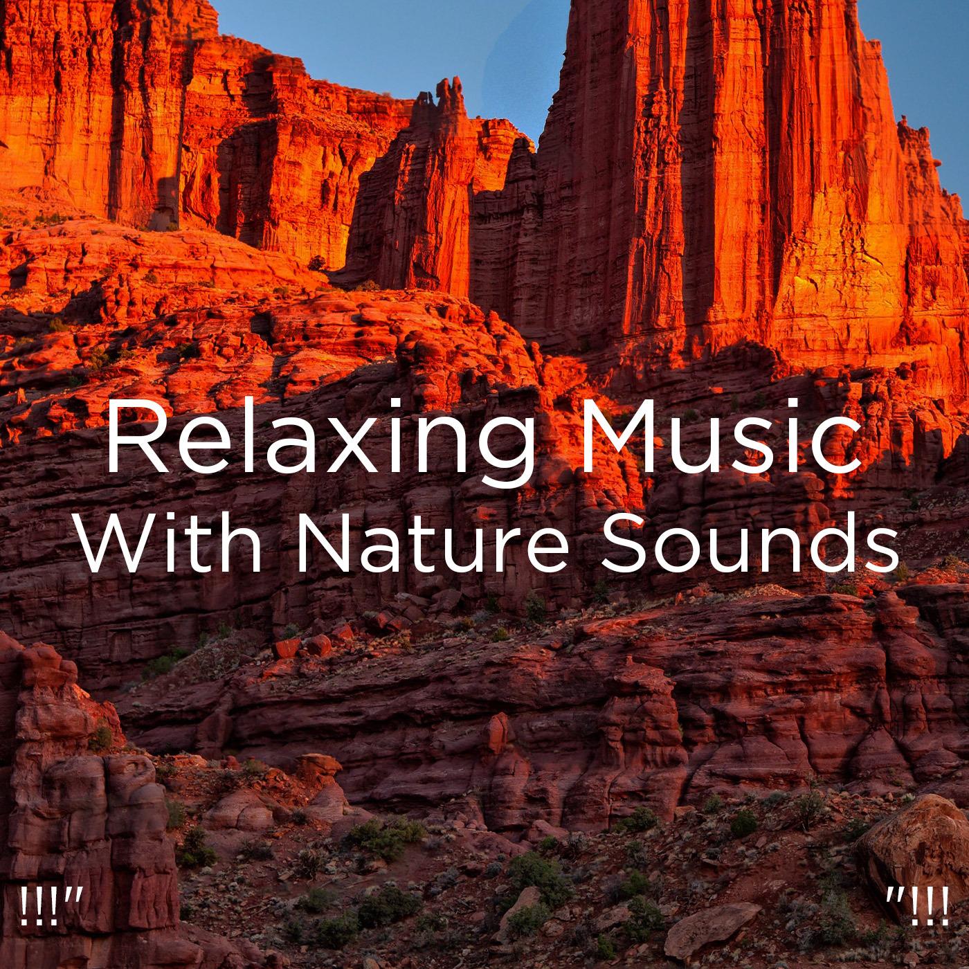 !!!" Relaxing Music With Nature Sounds "!!!