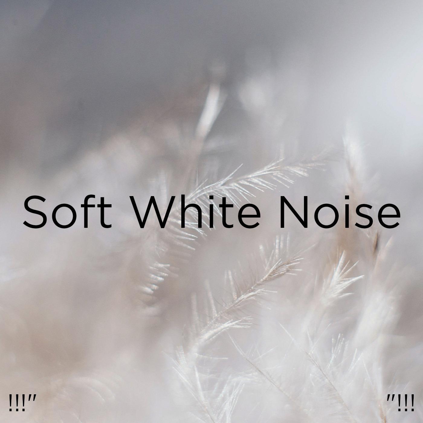 !!!" Soft White Noise "!!!