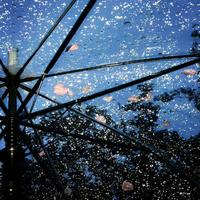 沐泽 - 可不可以(DJ版)