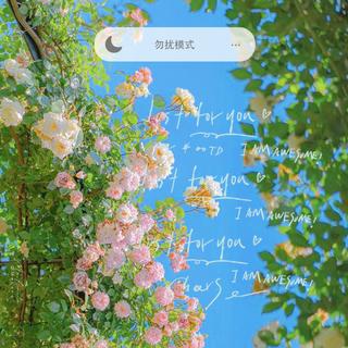 Spring春草岸边生-推荐顺序食用