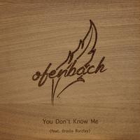Ofenbach & Brodie Barclay - You Don't Know Me (Pre-V2) 带和声伴奏