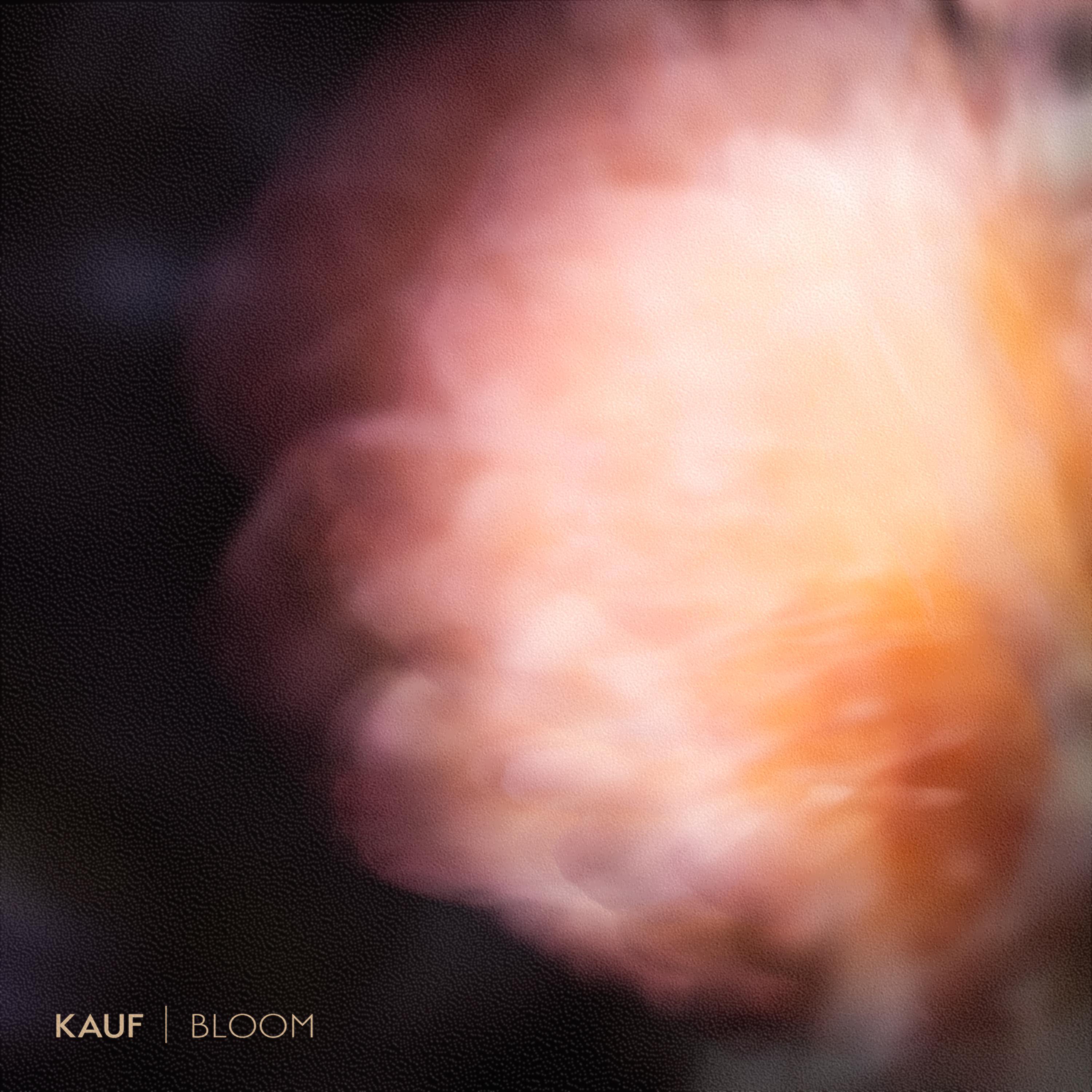 Bloom