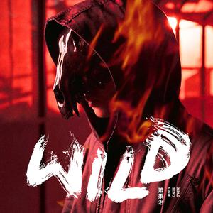 萧秉治(廷廷) - WILD