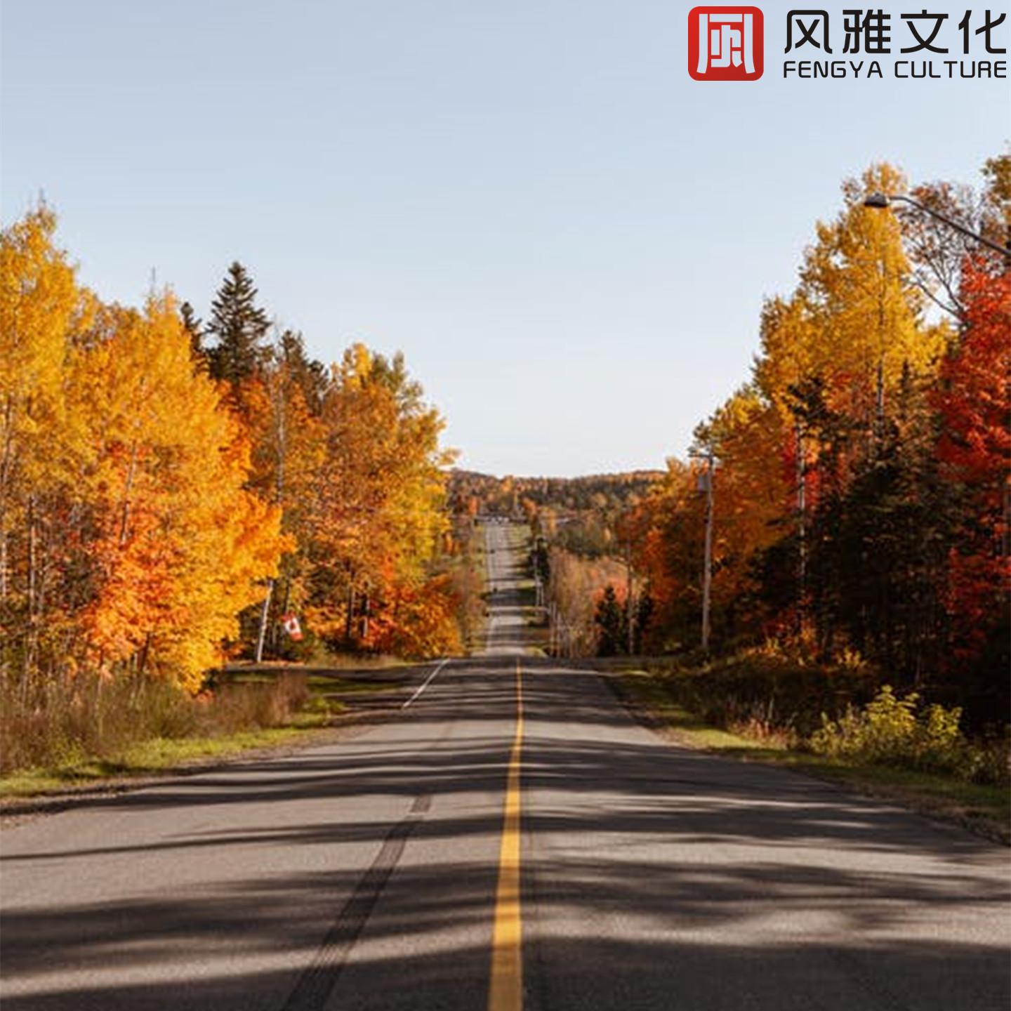正能量欢快轻音乐纯音乐
