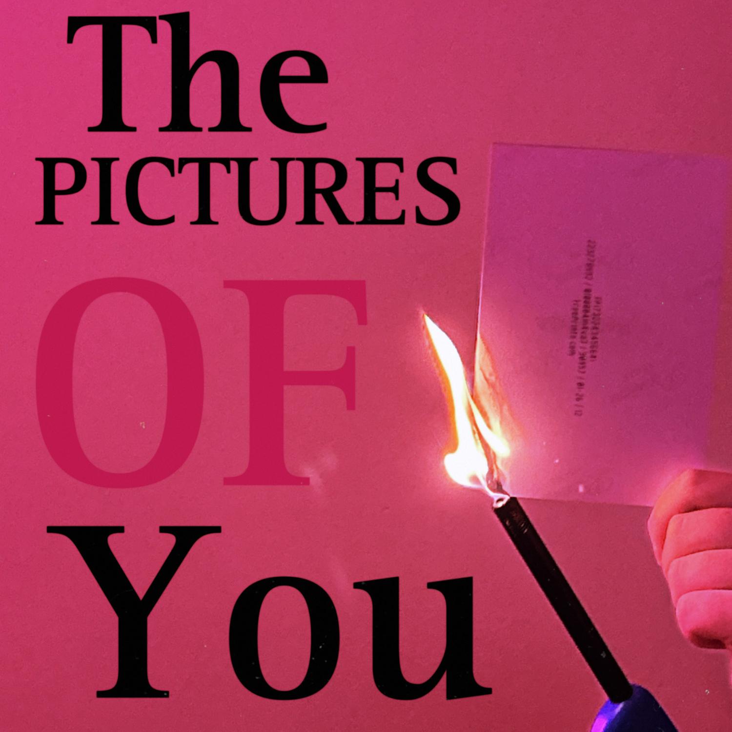 quinnie - The Pictures of You