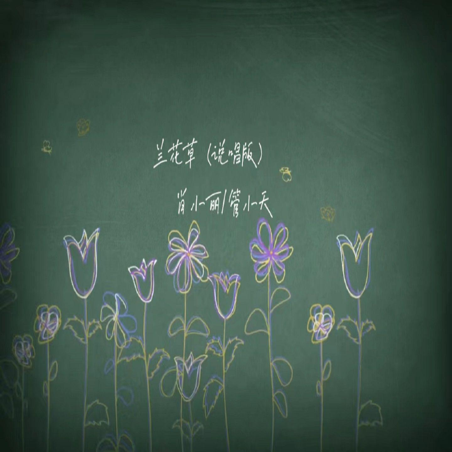 兰花草