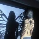 土耳其进行曲专辑