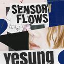 Sensory Flows - The 1st Album专辑