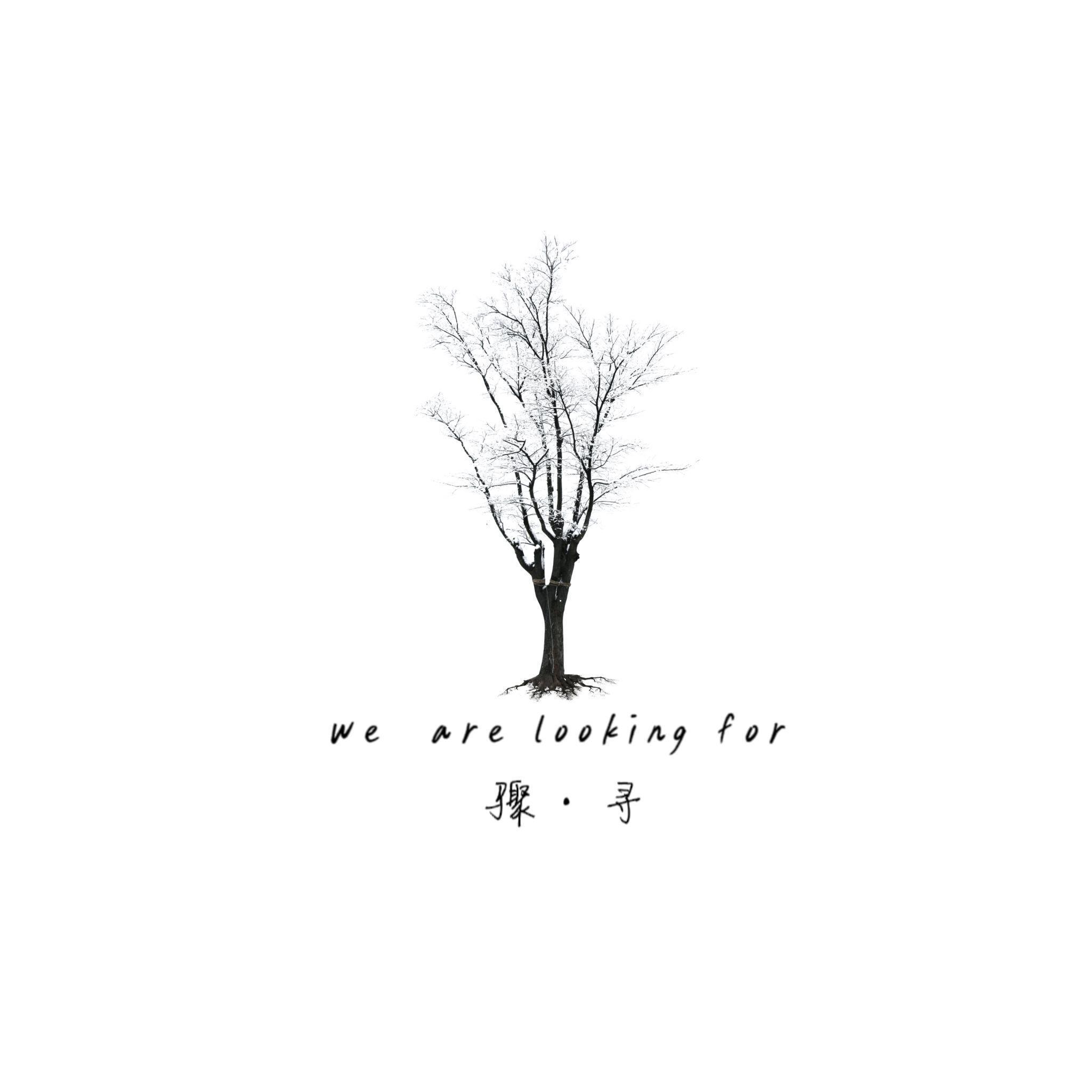 骤·寻（we are looking for）
