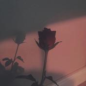 Yalguz Kaldem 独爱一生