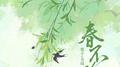 春不晚专辑