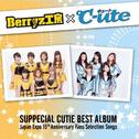 SUPPECIAL CUTIE BEST ALBUM ~Japan Expo 15th Year Anniversary Fans Selection Songs~专辑