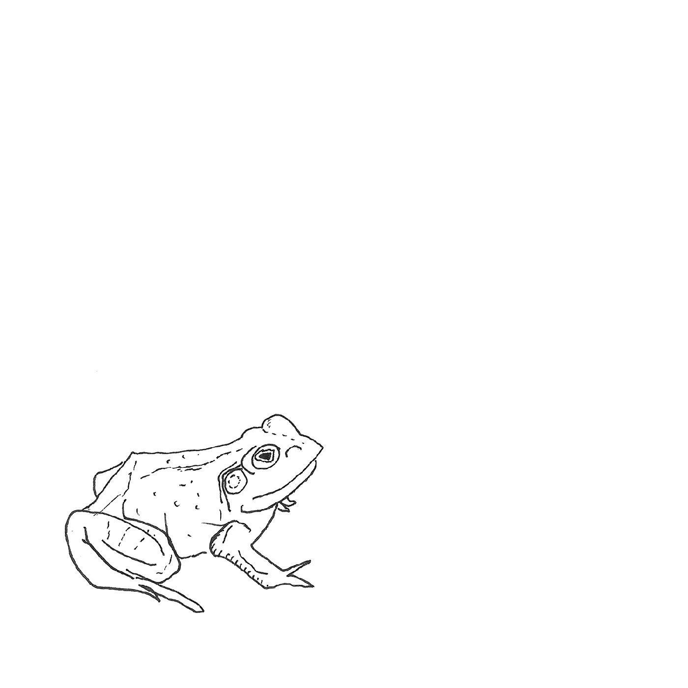 Bull Frogs Croon (Instrumental)
