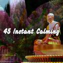 45 Instant Calming专辑