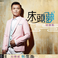 庄振凯 - 情泪(原版立体声伴奏)