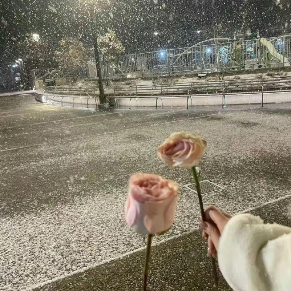 我期待的不是雪