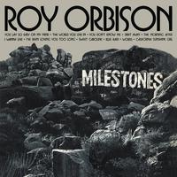 Orbison Roy - Blue Rain (unofficial instrumental)